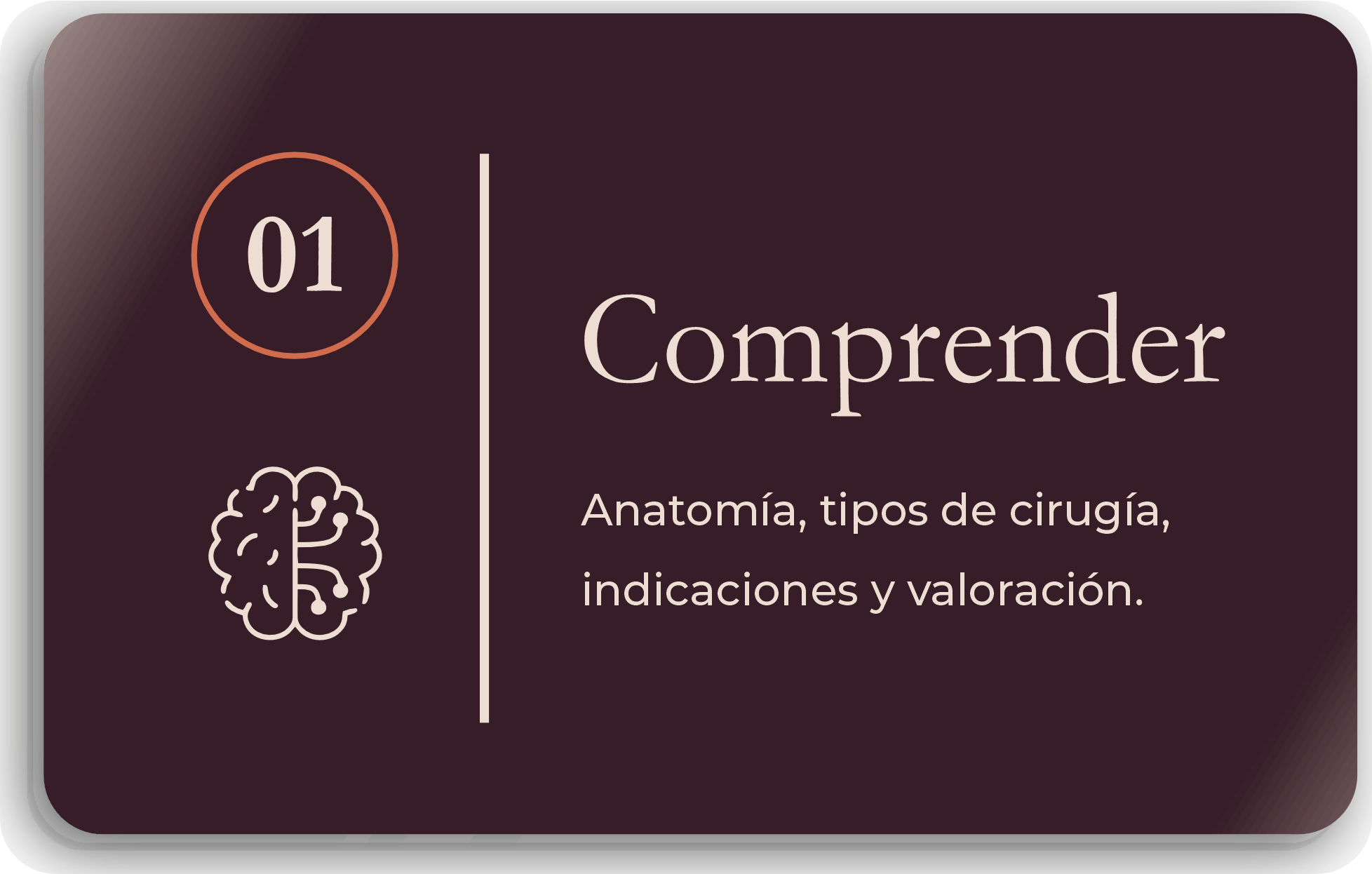 comprender la anatomia, tipo de cirujia y valorar al paciente